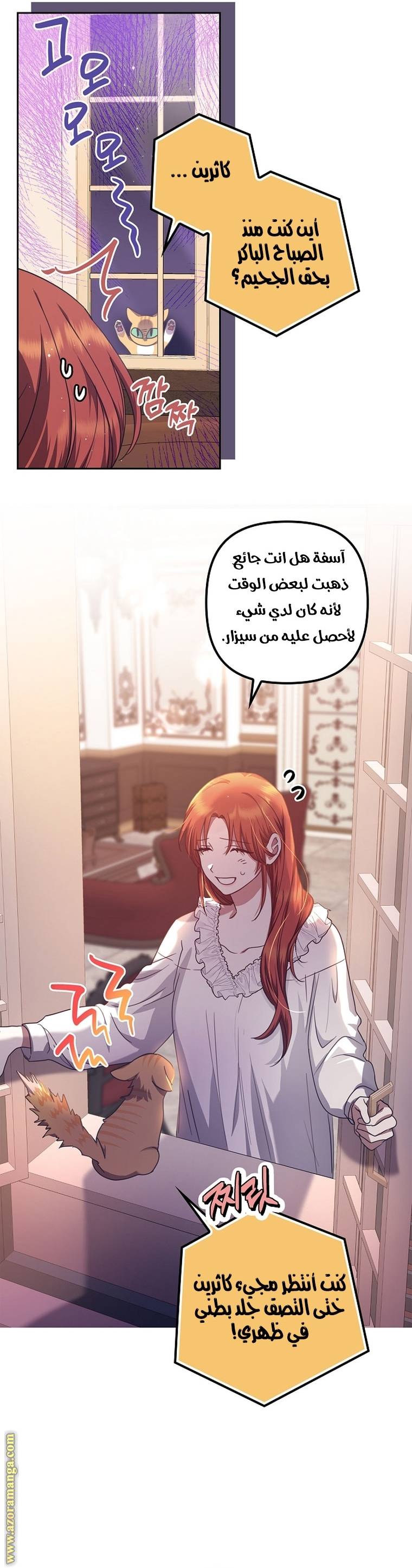 الصفحة 27