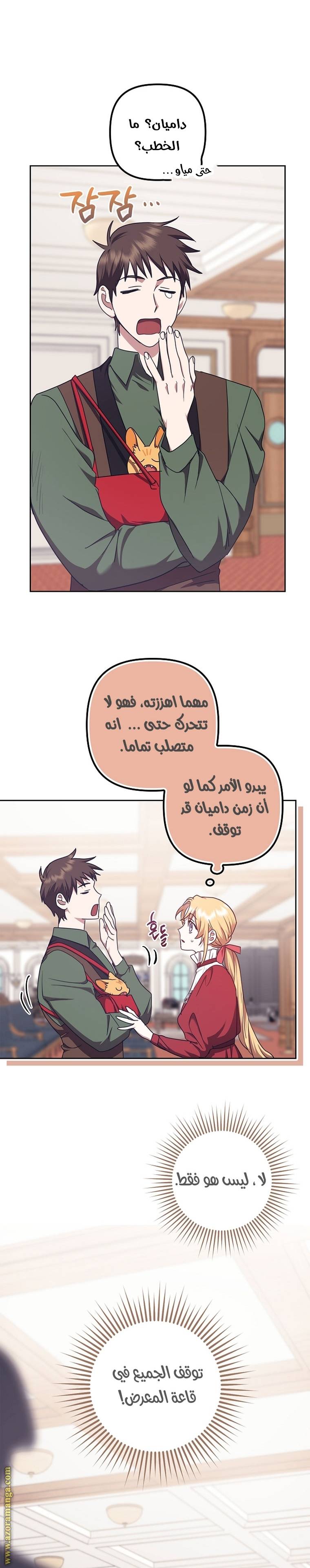 الصفحة 17