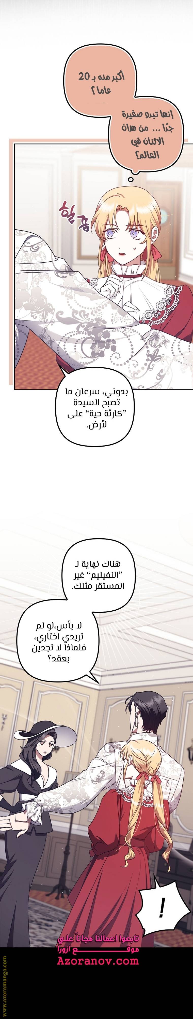 الصفحة 25