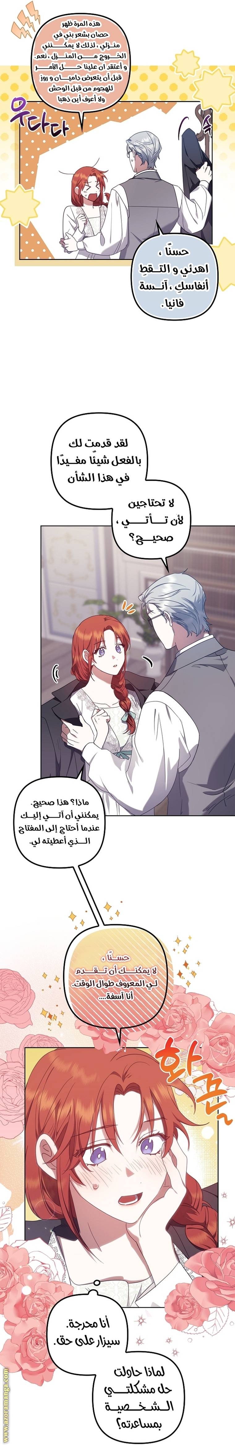 الصفحة 17