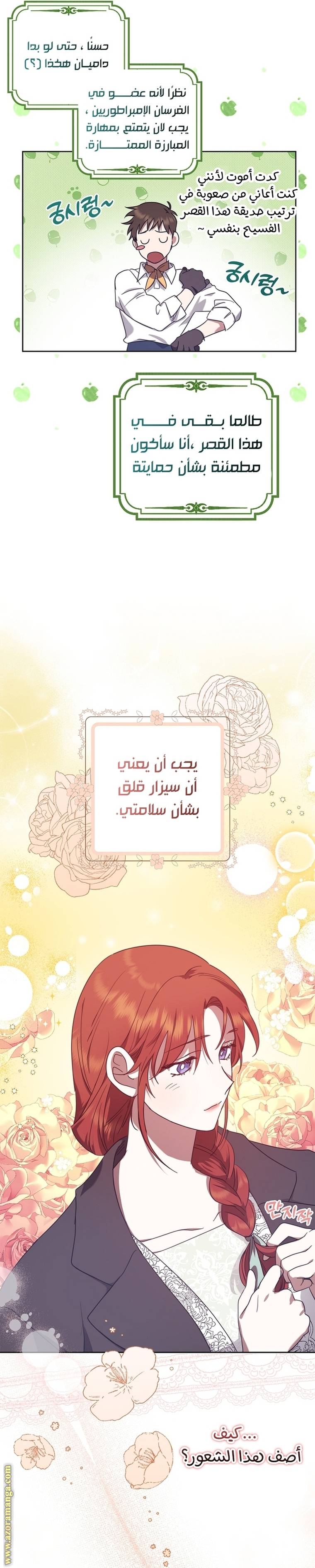 الصفحة 25
