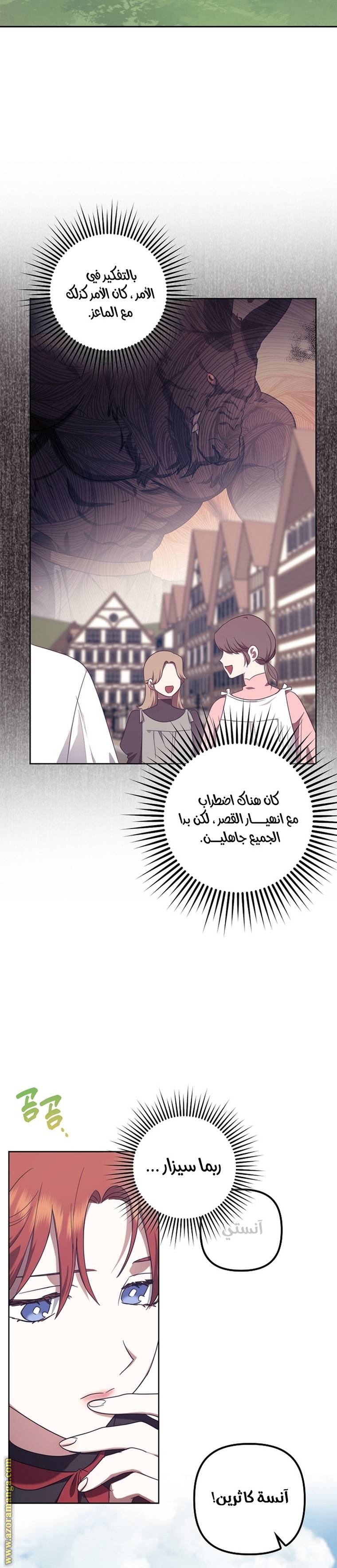 الصفحة 29