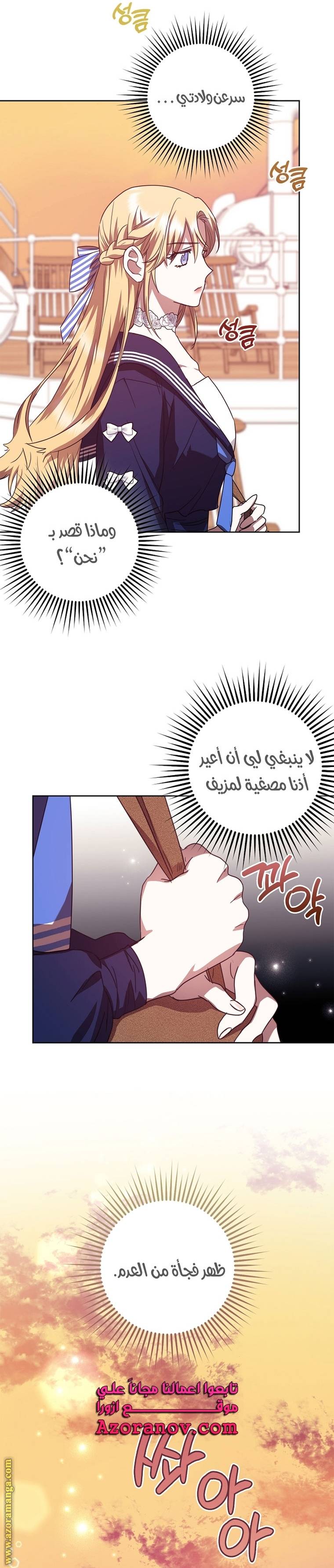 الصفحة 17