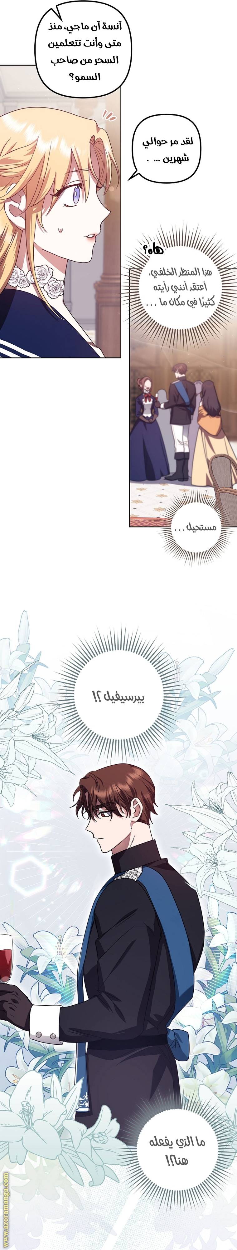 الصفحة 33