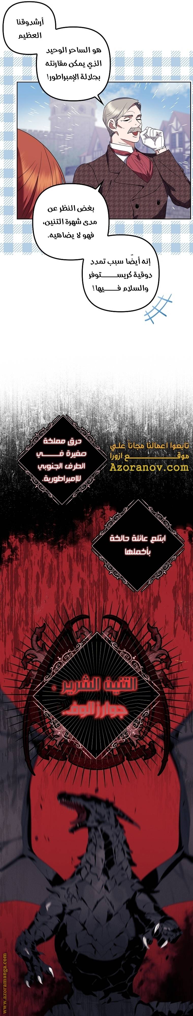 الصفحة 21