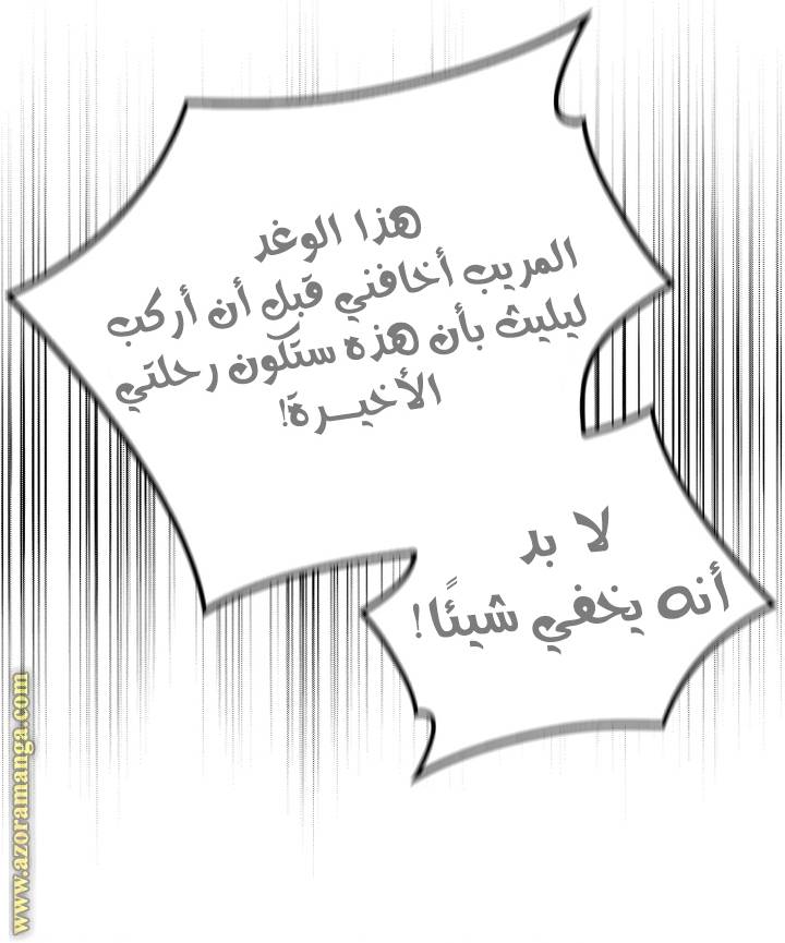 الصفحة 29