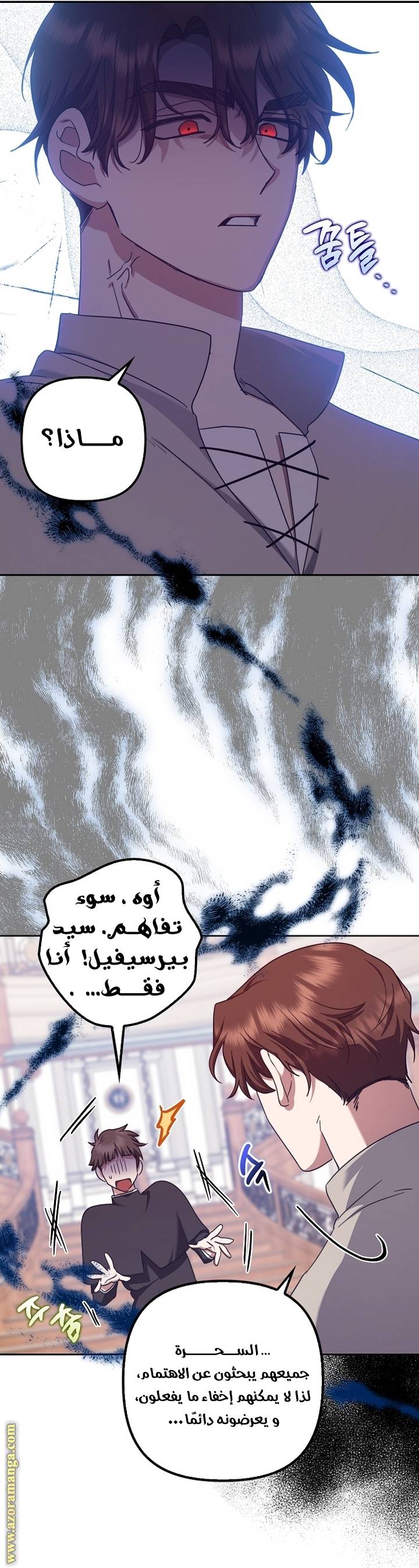 الصفحة 30