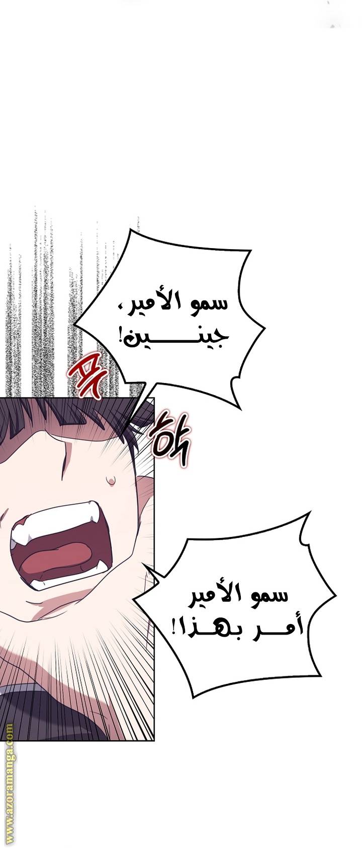 الصفحة 33