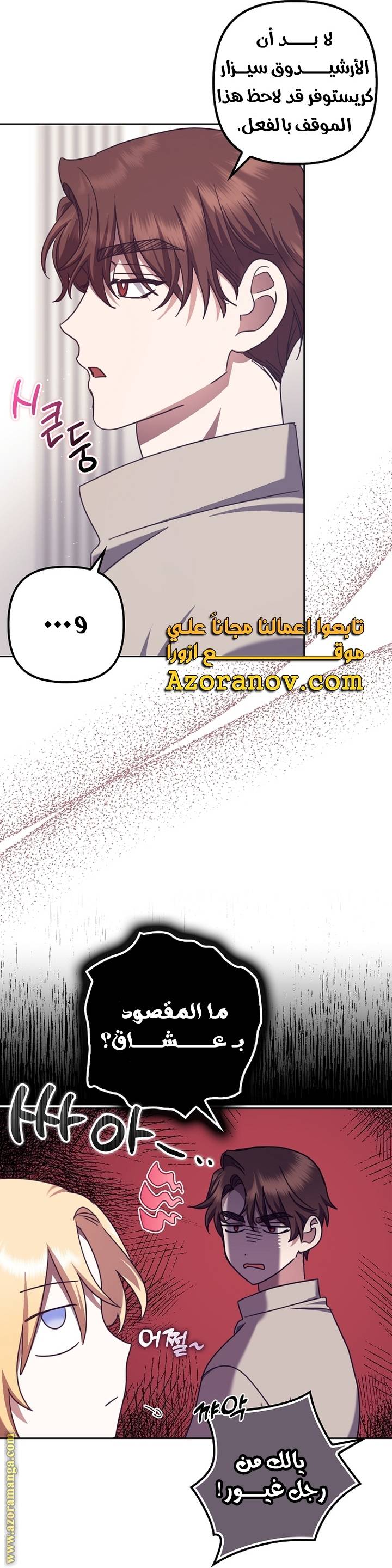 الصفحة 43