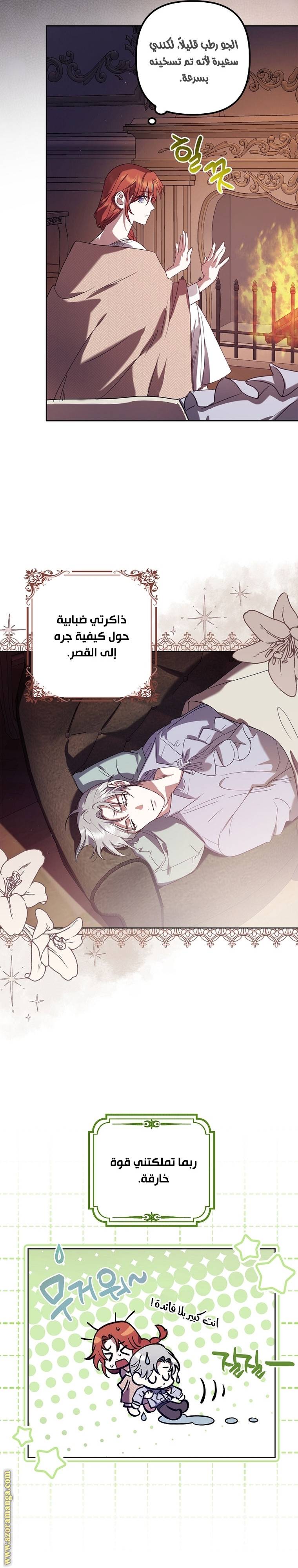 الصفحة 17