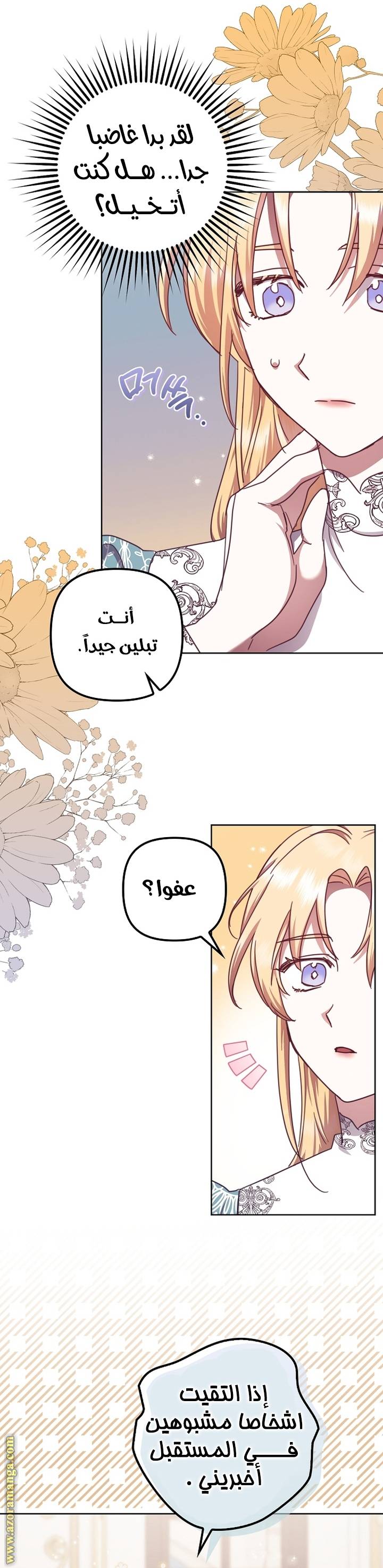 الصفحة 17