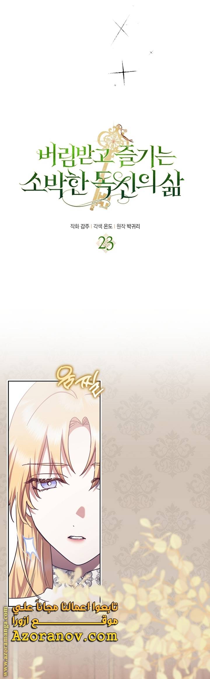 الصفحة 23