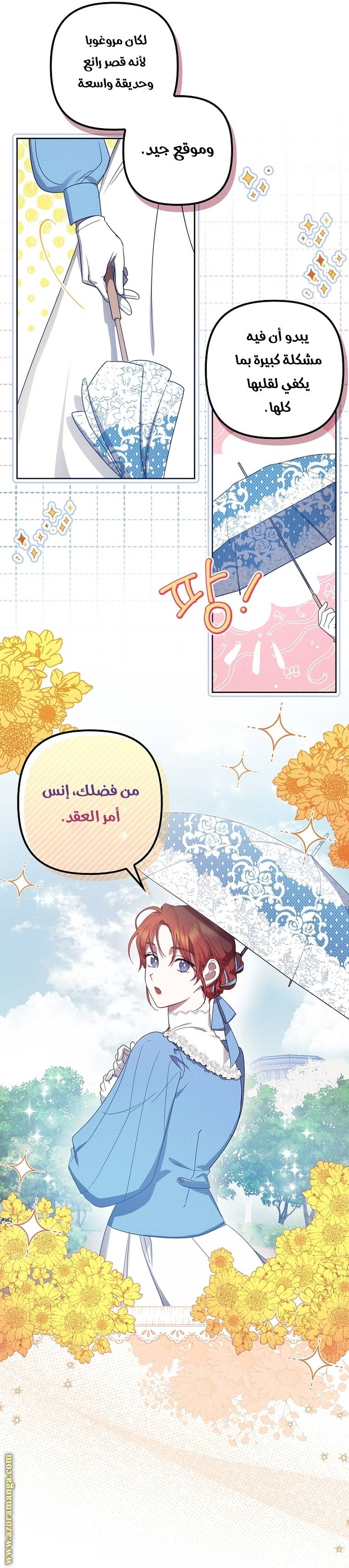 الصفحة 13