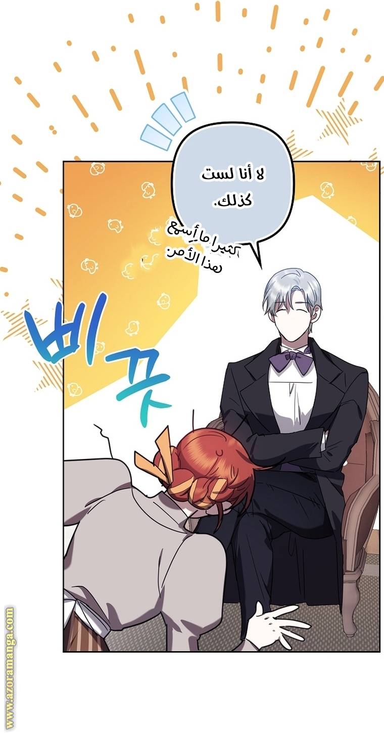 الصفحة 19