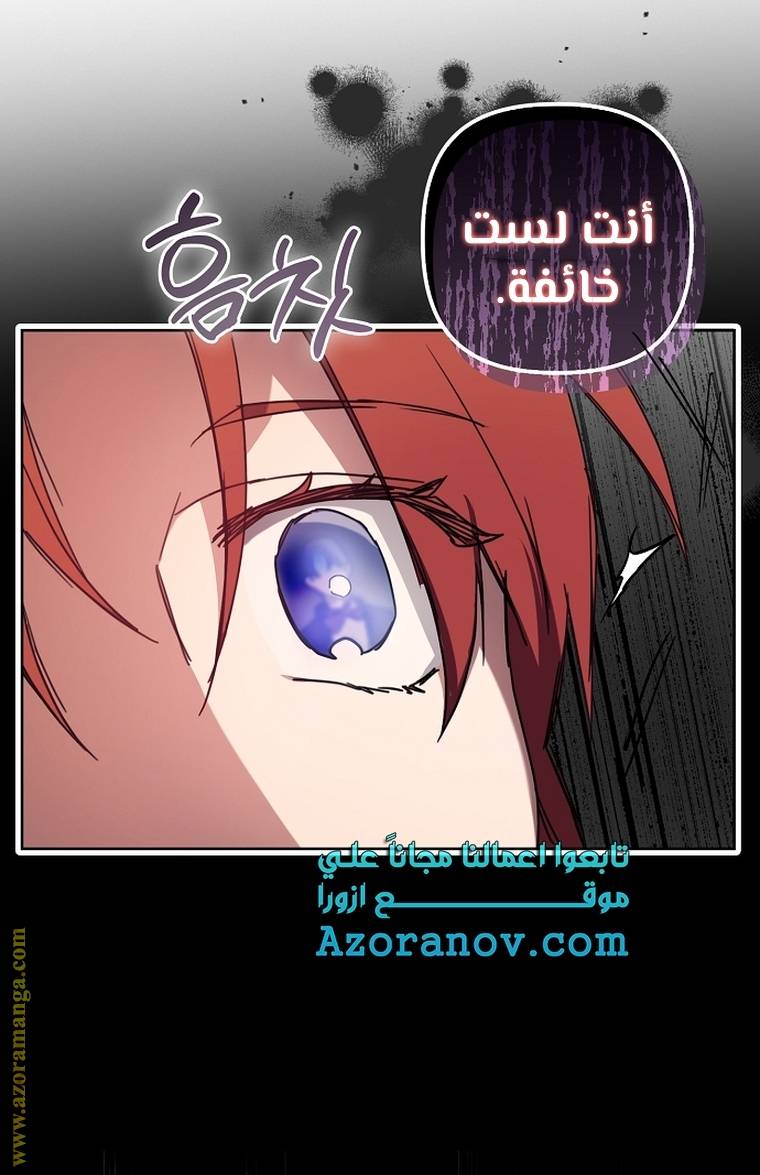 الصفحة 27
