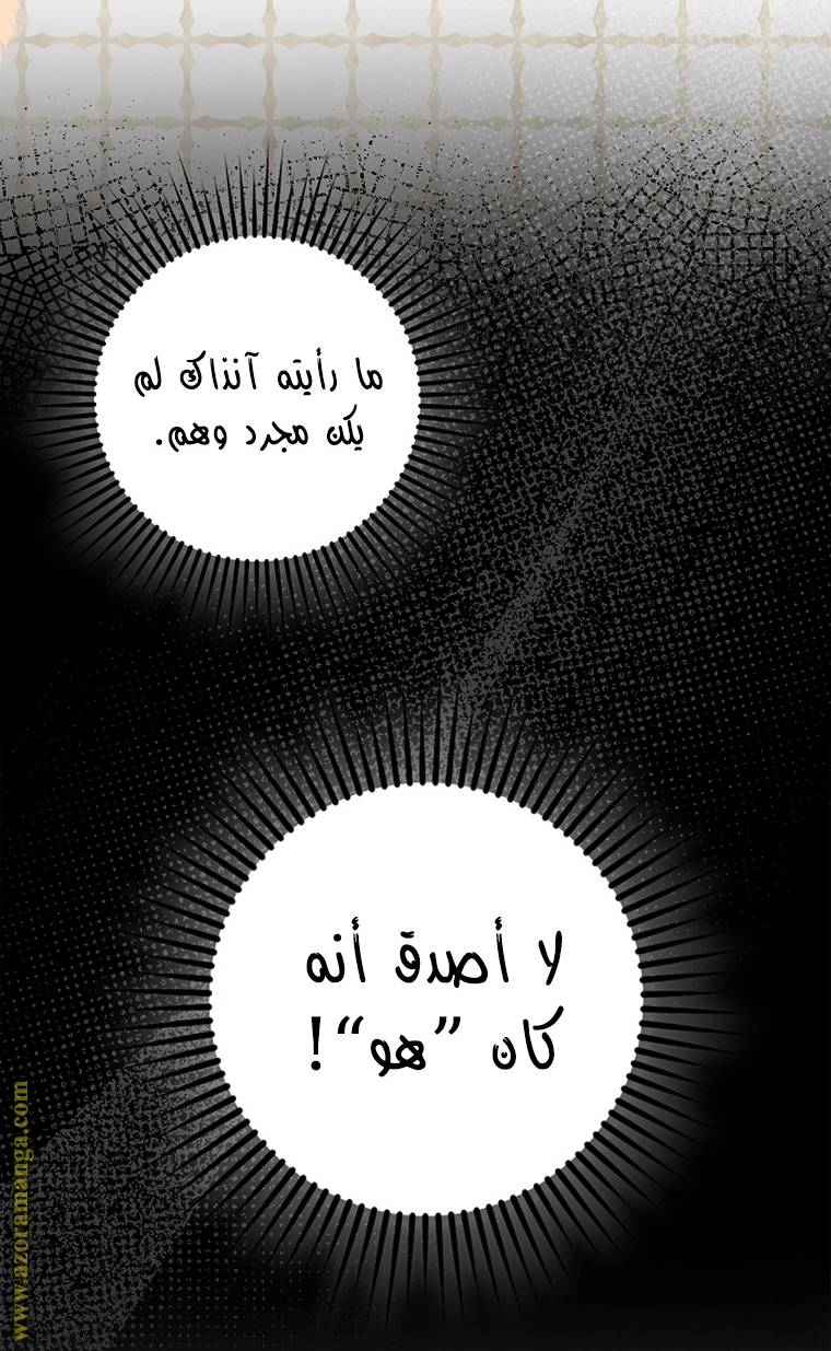 الصفحة 30
