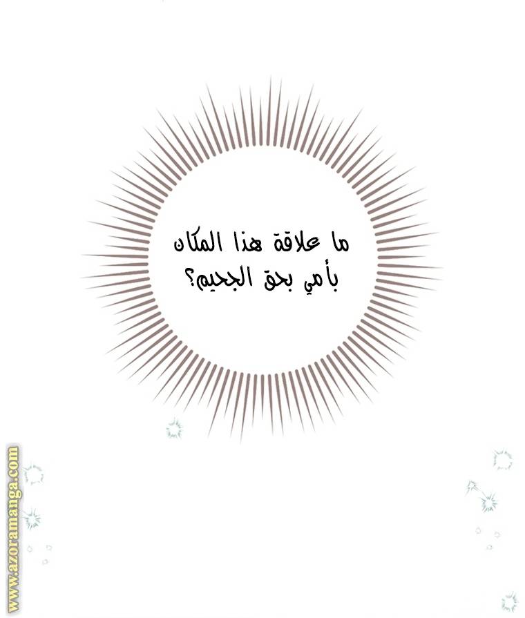 الصفحة 49