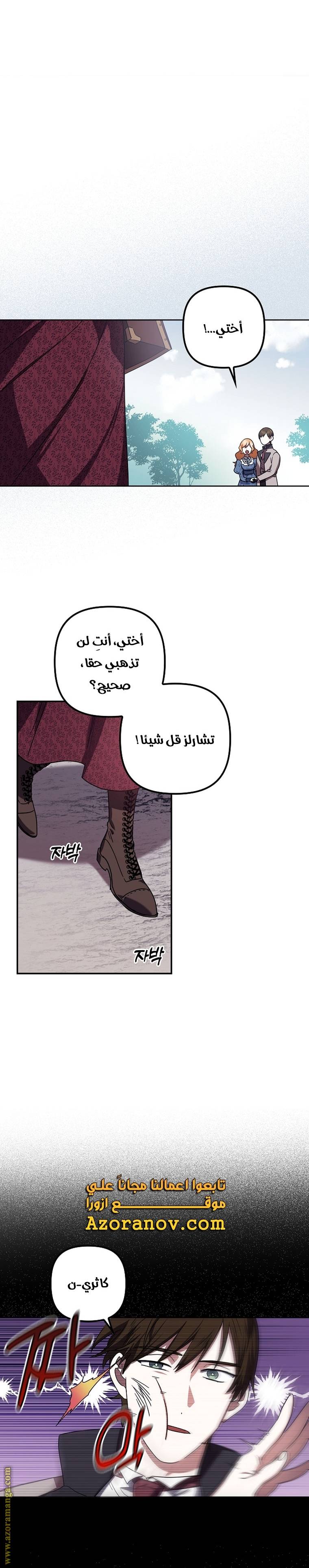 الصفحة 19