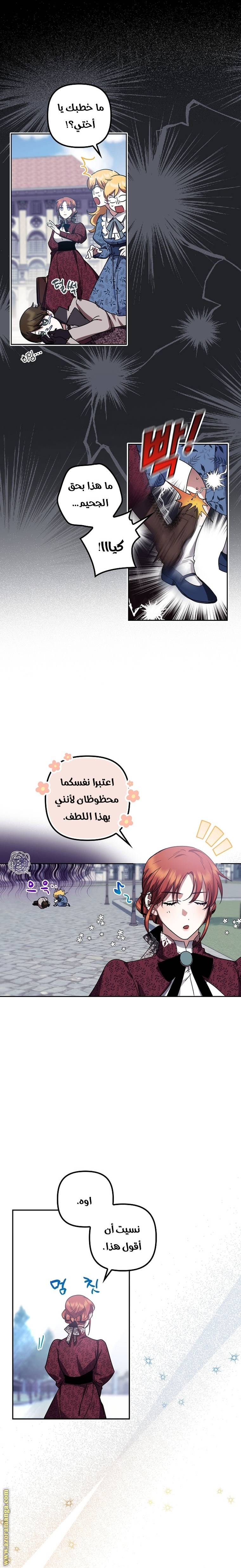 الصفحة 20