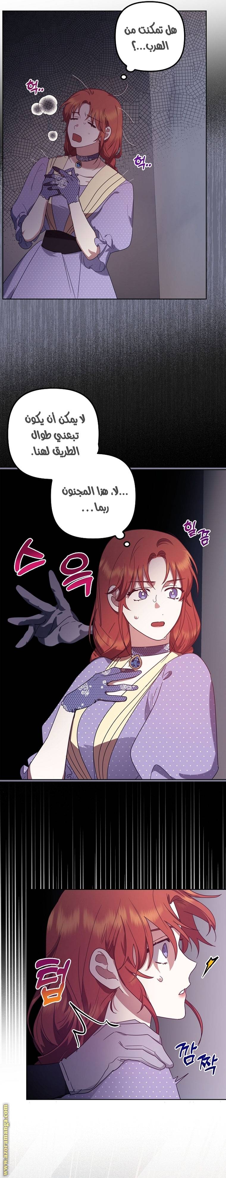 الصفحة 12