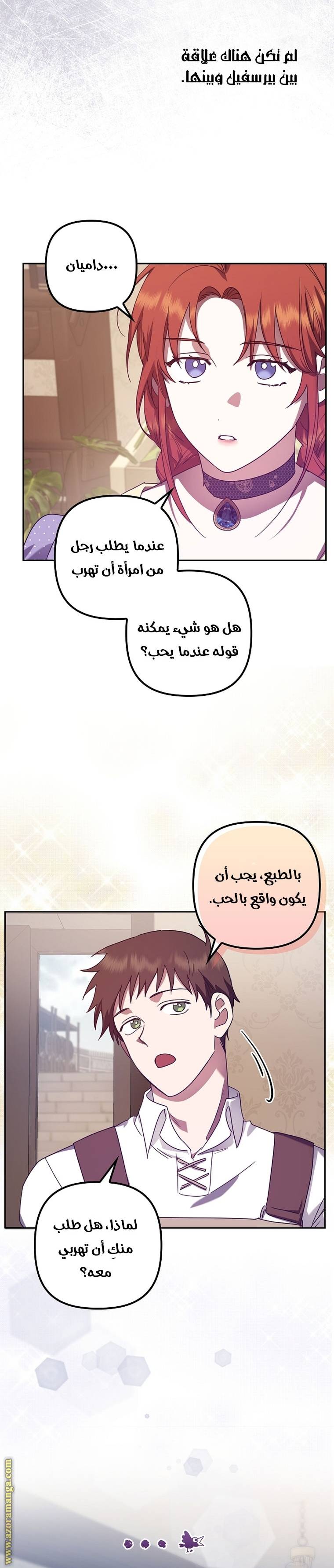 الصفحة 17