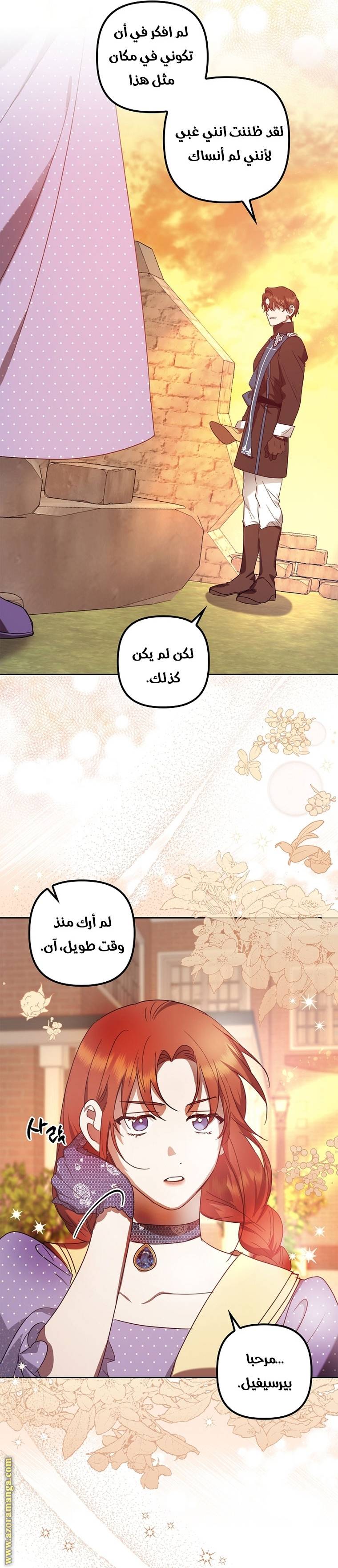 الصفحة 29