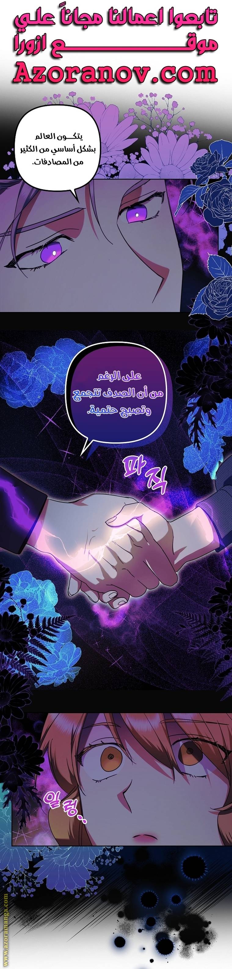 الصفحة 17