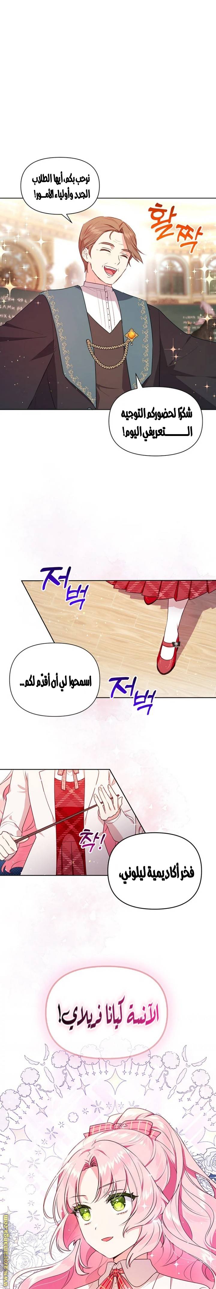 الصفحة 17