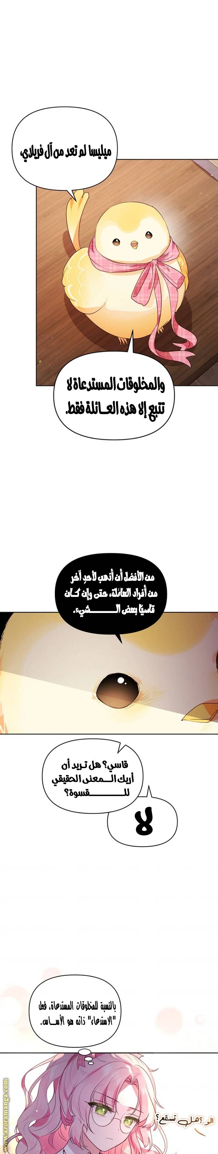 الصفحة 13