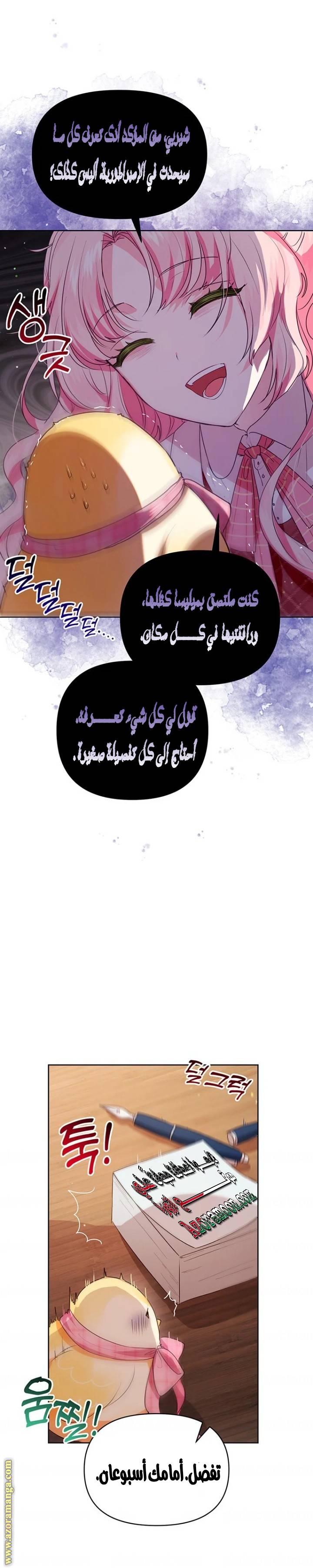 الصفحة 17