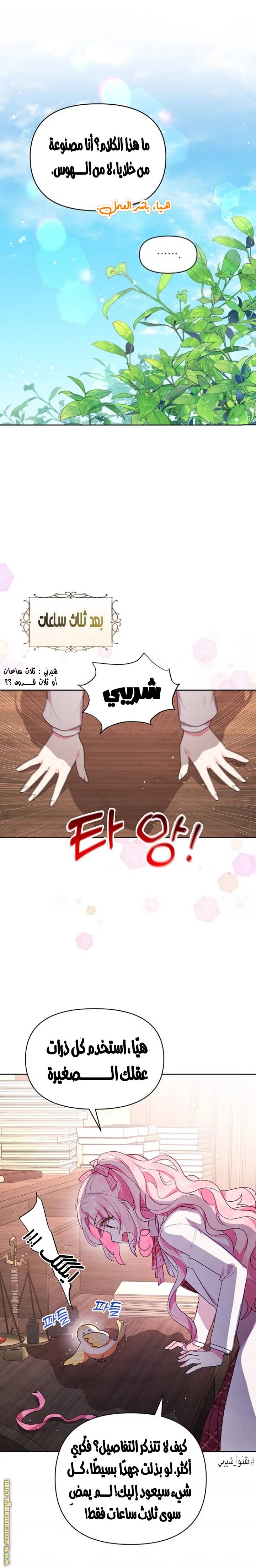 الصفحة 19