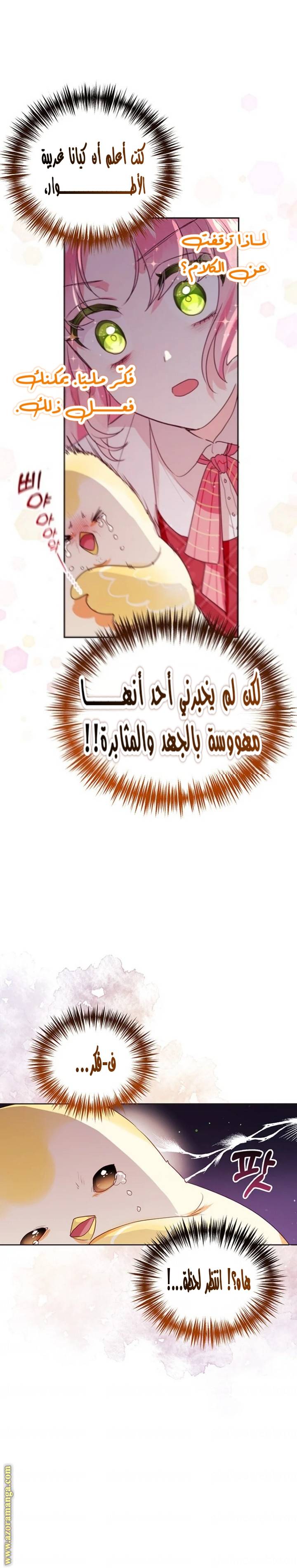 الصفحة 20