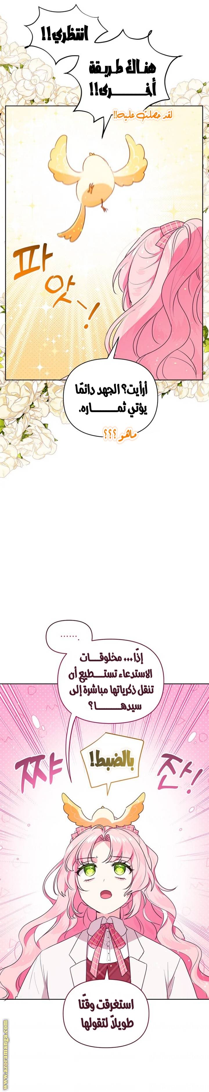 الصفحة 21