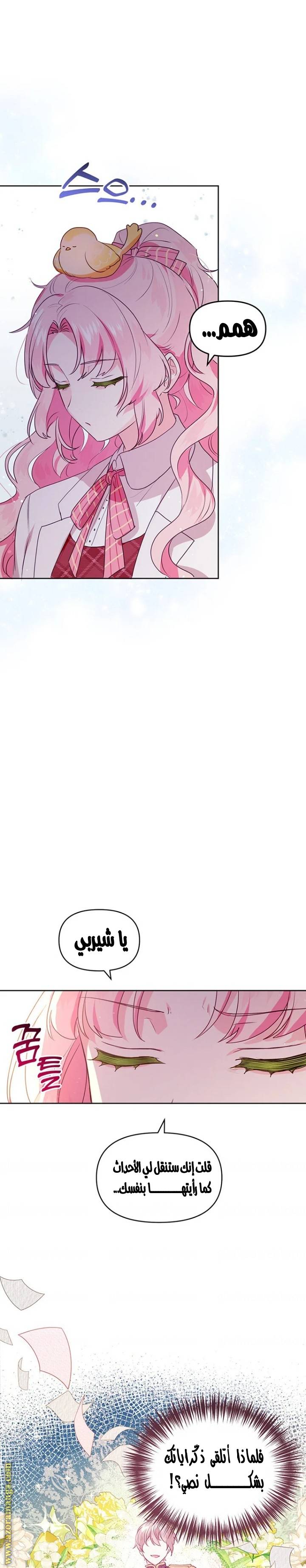 الصفحة 22