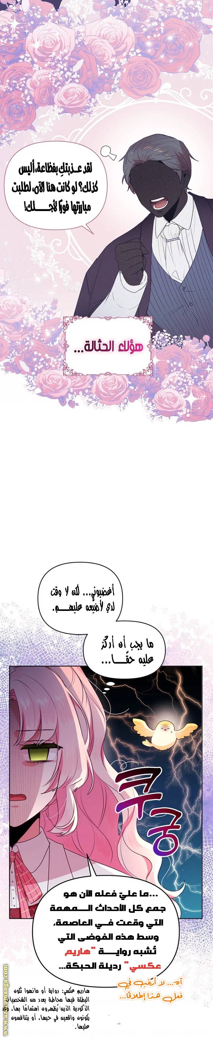 الصفحة 26