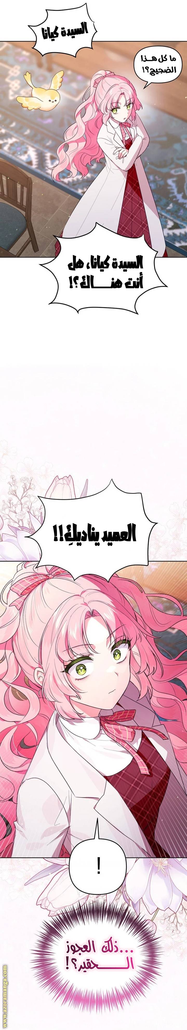 الصفحة 31