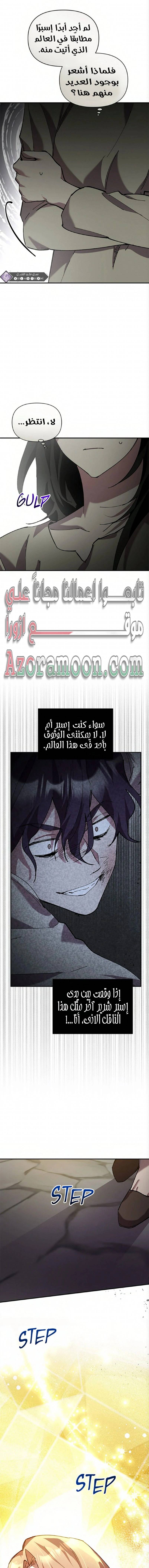 الصفحة 13