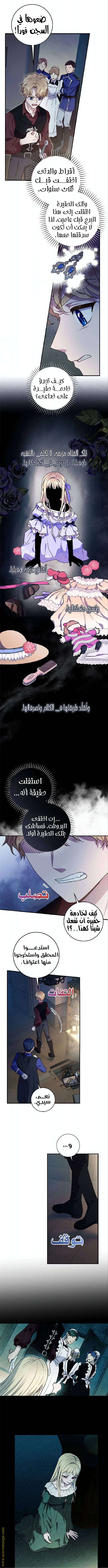 الصفحة 7