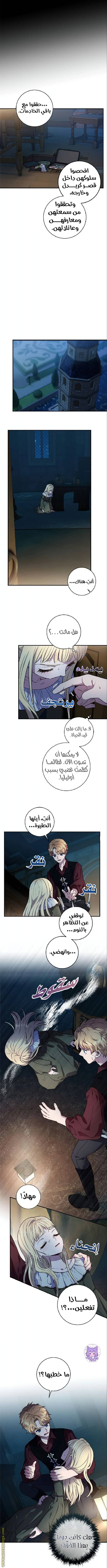 الصفحة 8