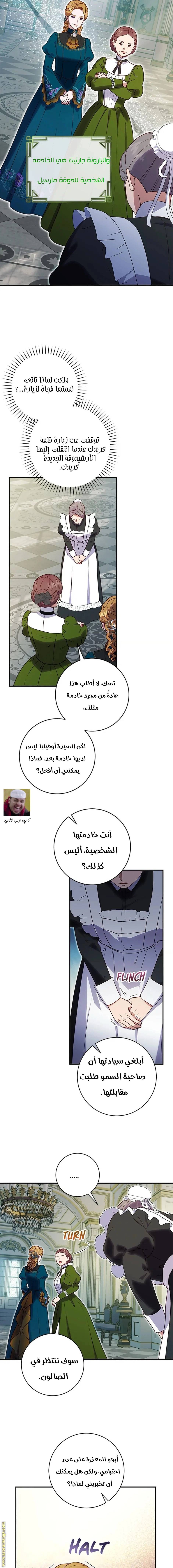 الصفحة 13