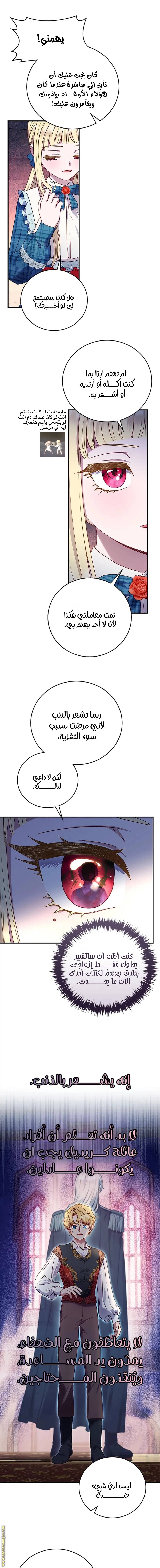 الصفحة 13