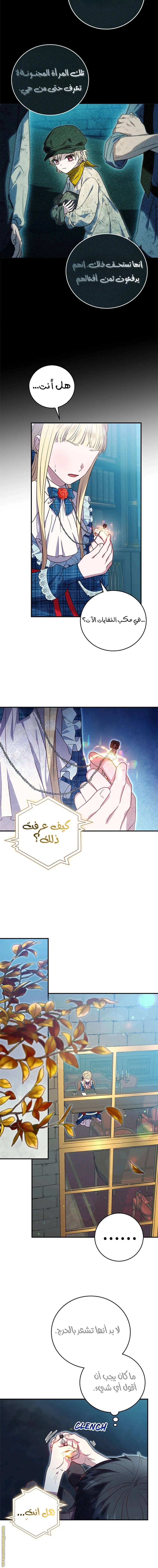 الصفحة 8