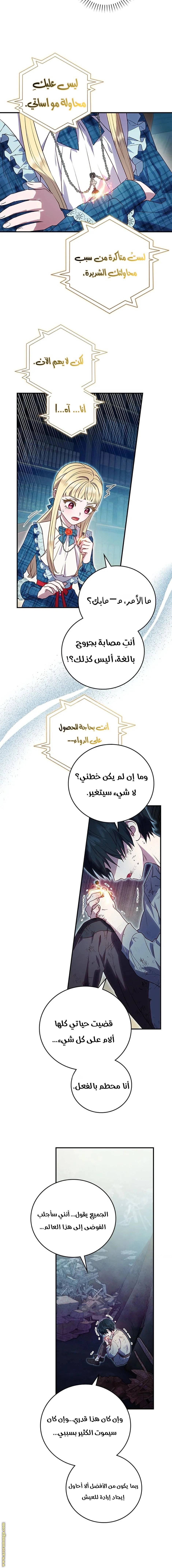 الصفحة 13