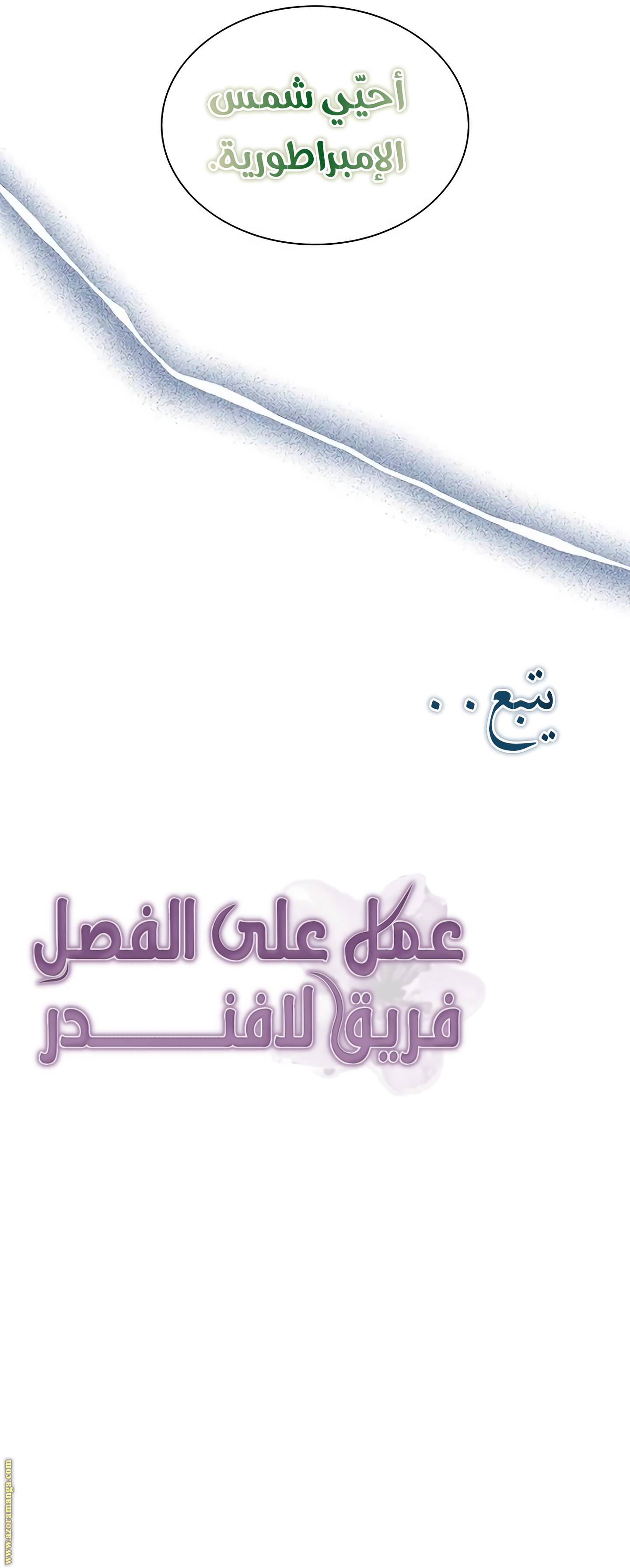 الصفحة 20