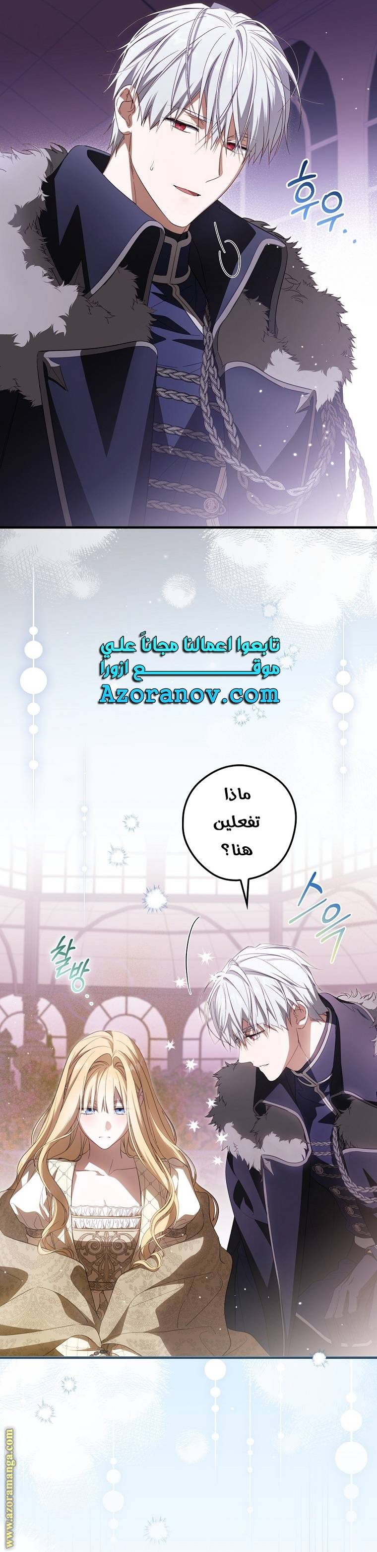الصفحة 21