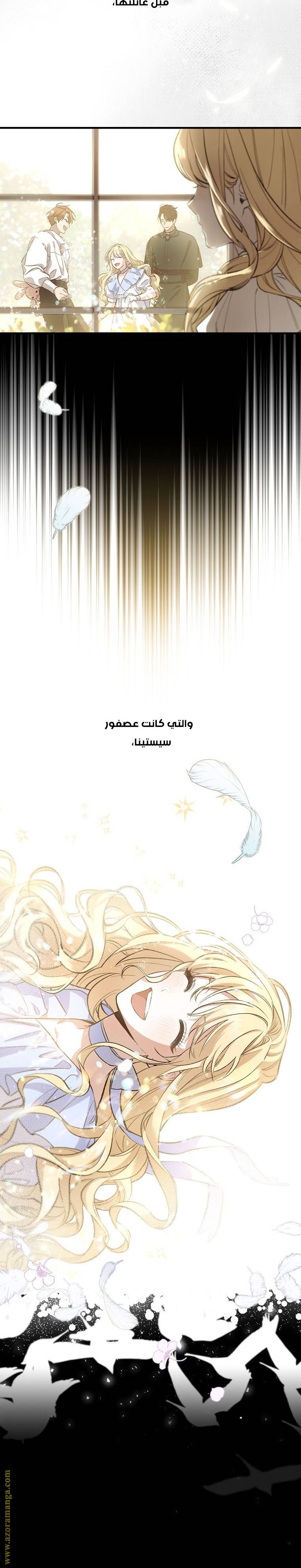 الصفحة 15