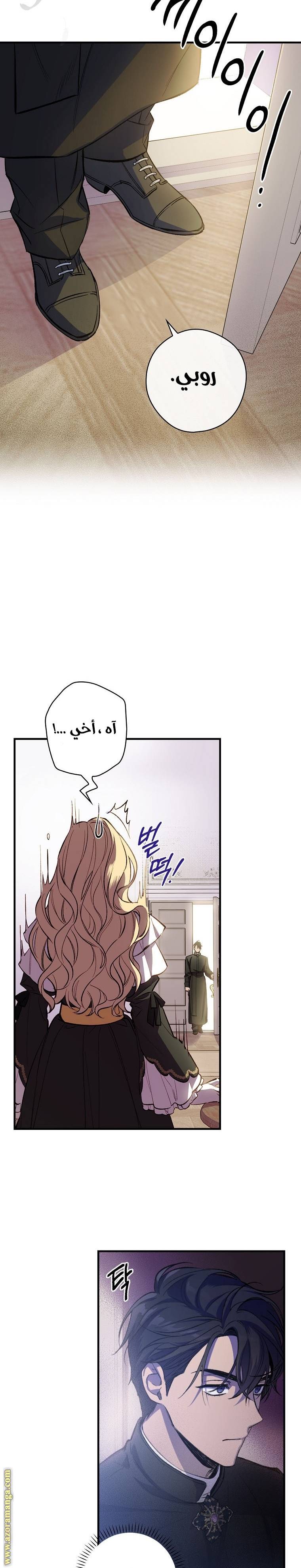 الصفحة 17