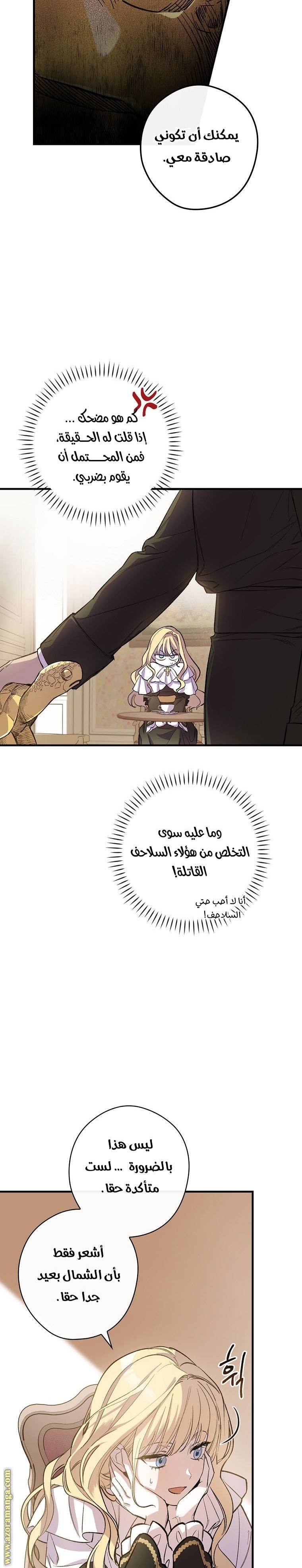 الصفحة 19
