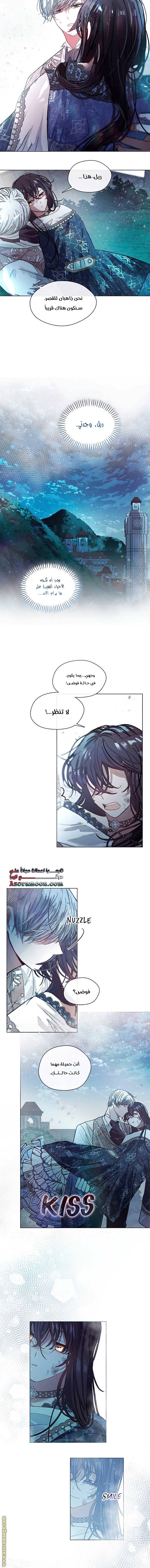 الصفحة 17
