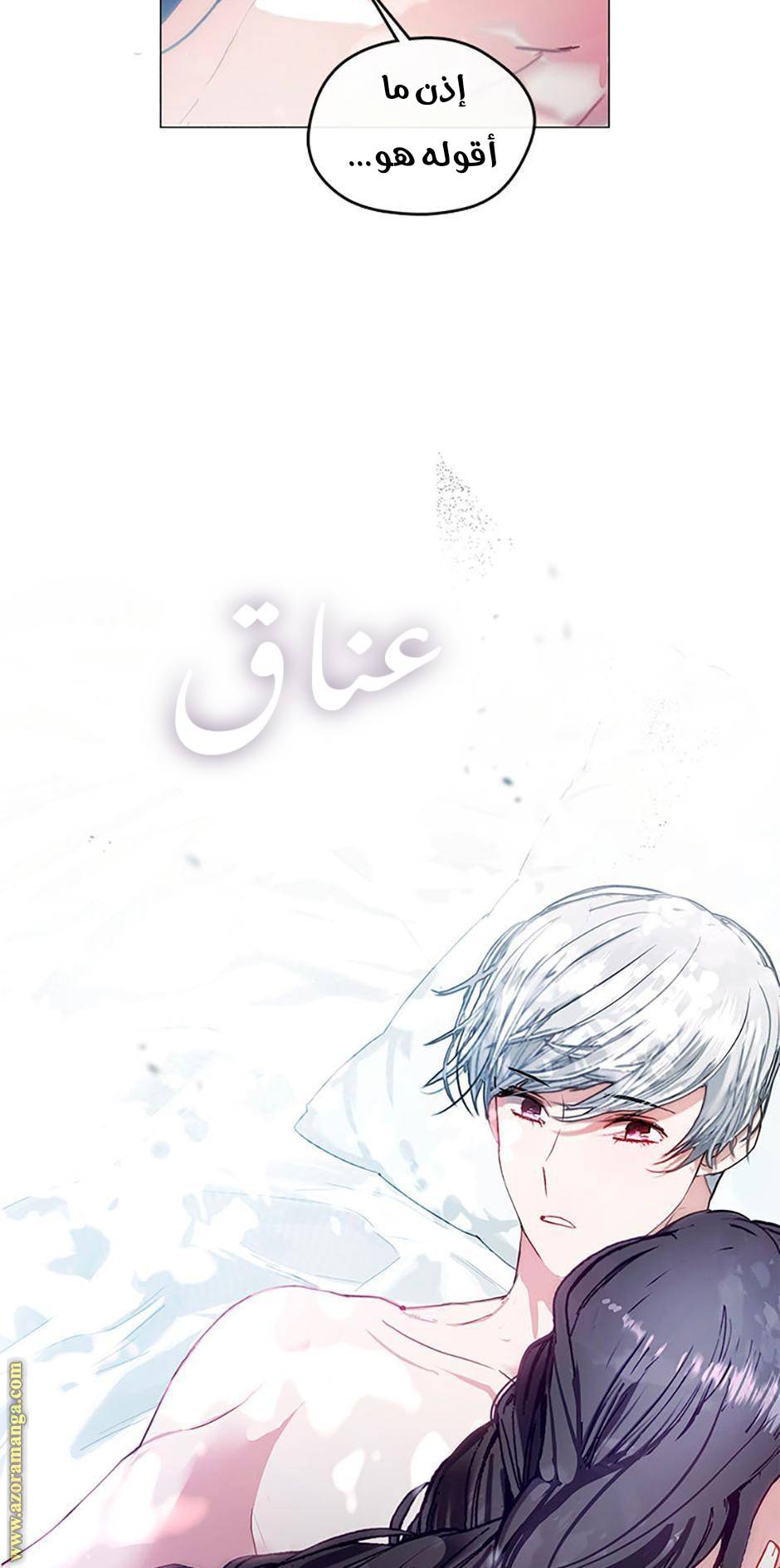 الصفحة 26